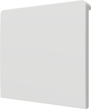 Crestron CM2-BTN-LG-TOP-W-T BLANK — Cameo® 2 Arkadan Aydınlatmalı, Gravür Edilebilir Buton, Büyük, Üst, Beyaz Dokulu, Bo