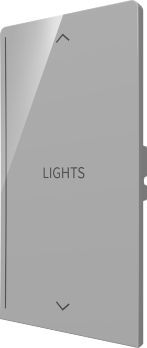 Crestron CM2-BTN-RKR-G-S ENGRAVED — Cameo® 2 Arkadan Aydınlatmalı, Gravürlenebilir Buton, Rocker, Gri Pürüzsüz, Özel Gra