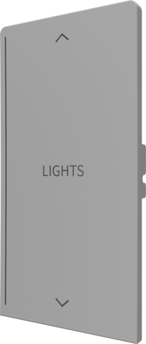 Crestron CM2-BTN-RKR-G-T ENGRAVED — Cameo® 2 Arkadan Aydınlatmalı, Gravürlenebilir Buton, Rocker, Gri Dokulu, Özel İşlem
