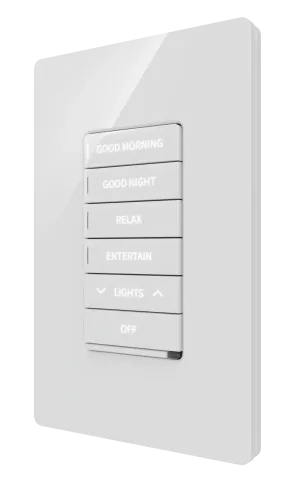 Crestron CM2-DIMEX-ENGRAVED - CM2‑DIMEX Cameo® 2 duvar içi ileri fazlı dimmer, akkor, many