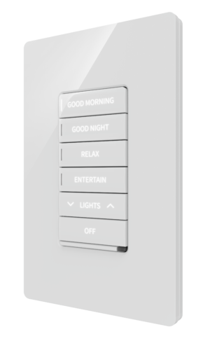 Crestron CM2-SWEX ENGRAVED — infiNET EX® Kablosuz İletişimli Cameo® 2 Duvar İçi Anahtar, 100-240VAC, Tam Tuş Takımı, Öze