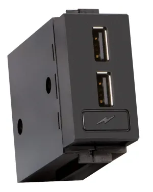 Crestron FT2A-CHGR-USBA-BASIC - FlipTop™ kablo yönetim sistemine USB şarj özelliği ekleyen t