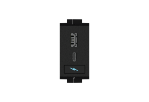 Crestron FT2A-CHGR-USBA-C - FT2 ELEC Serisi için USB Hızlı Şarj Modülü, USB Tip-C ve Tip