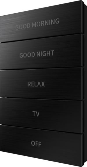 Crestron HZ2-BTNS-1-BR-BLK ENGRAVED — Horizon® 2 Düğme Düzeneği, Stil 1, Özel İşlemeli, Fırçalanmış Siyah