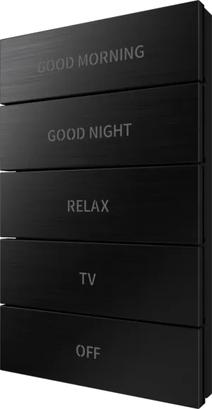 Crestron HZ2-BTNS-1-BR-BLK ENGRAVED — Horizon® 2 Düğme Düzeneği, Stil 1, Özel İşlemeli, Fırçalanmış Siyah