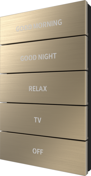 Crestron HZ2-BTNS-1-BR-BRASS ENGRAVED — Horizon® 2 Düğme Düzeneği, Stil 1, Özel İşlemeli, Fırçalanmış Pirinç