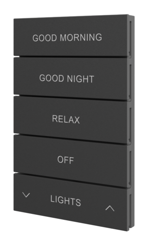 Crestron HZ2-BTNS-2-B ENGRAVED — Horizon® 2 Düğme Düzeneği, Stil 2, Özel İşlemeli, Siyah