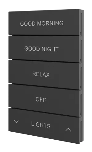 Crestron HZ2-BTNS-2-B ENGRAVED — Horizon® 2 Düğme Düzeneği, Stil 2, Özel İşlemeli, Siyah