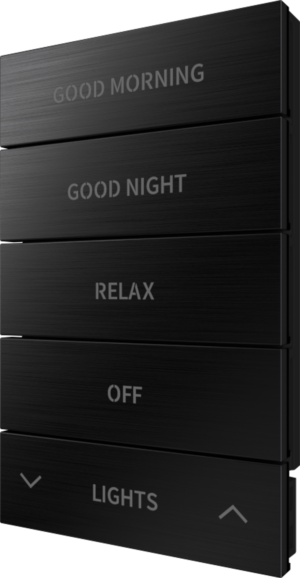 Crestron HZ2-BTNS-2-BR-BLK ENGRAVED — Horizon® 2 Düğme Düzeneği, Stil 2, Özel İşlemeli, Fırçalanmış Siyah