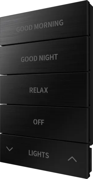 Crestron HZ2-BTNS-2-BR-BLK ENGRAVED — Horizon® 2 Düğme Düzeneği, Stil 2, Özel İşlemeli, Fırçalanmış Siyah
