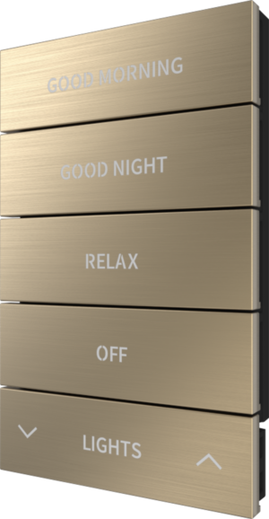 Crestron HZ2-BTNS-2-BR-BRASS ENGRAVED — Horizon® 2 Düğme Düzeneği, Stil 2, Özel İşlemeli, Fırçalanmış Pirinç