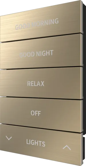 Crestron HZ2-BTNS-2-BR-BRASS ENGRAVED — Horizon® 2 Düğme Düzeneği, Stil 2, Özel İşlemeli, Fırçalanmış Pirinç