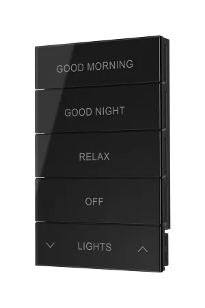 Crestron HZ2-BTNS-2-GLASS-B ENGRAVED — Horizon® 2 Düğme Düzeneği, Stil 2, Özel İşlemeli, Siyah Cam