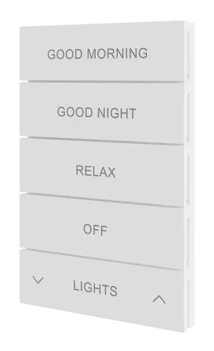 Crestron HZ2-BTNS-2-W ENGRAVED — Horizon® 2 Düğme Düzeneği, Stil 2, Özel İşlemeli, Beyaz