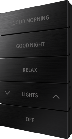 Crestron HZ2-BTNS-3-BR-BLK ENGRAVED — Horizon® 2 Düğme Düzeneği, Stil 3, Özel İşlemeli, Fırçalanmış Siyah