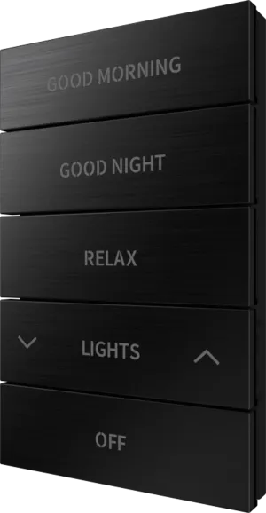 Crestron HZ2-BTNS-3-BR-BLK ENGRAVED — Horizon® 2 Düğme Düzeneği, Stil 3, Özel İşlemeli, Fırçalanmış Siyah