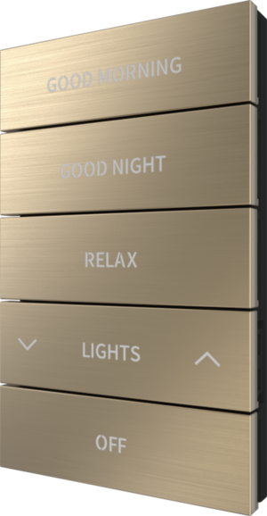 Crestron HZ2-BTNS-3-BR-BRASS ENGRAVED — Horizon® 2 Düğme Düzeneği, Stil 3, Özel İşlemeli, Fırçalanmış Pirinç
