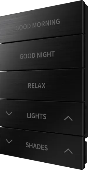 Crestron HZ2-BTNS-4-BR-BLK ENGRAVED — Horizon® 2 Düğme Düzeneği, Stil 4, Özel İşlemeli, Fırçalanmış Siyah