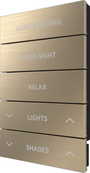 Crestron HZ2-BTNS-4-BR-BRASS ENGRAVED — Horizon® 2 Düğme Düzeneği, Stil 4, Özel İşlemeli, Fırçalanmış Pirinç