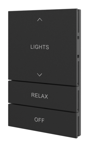Crestron HZ2-BTNS-5-B ENGRAVED — Horizon® 2 Düğme Düzeneği, Stil 5, Özel İşlemeli, Siyah