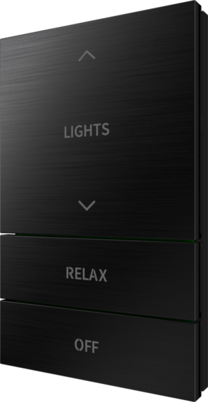Crestron HZ2-BTNS-5-BR-BLK ENGRAVED — Horizon® 2 Düğme Düzeneği, Stil 5, Özel İşlemeli, Fırçalanmış Siyah