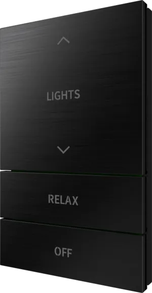 Crestron HZ2-BTNS-5-BR-BLK ENGRAVED — Horizon® 2 Düğme Düzeneği, Stil 5, Özel İşlemeli, Fırçalanmış Siyah