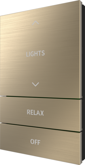 Crestron HZ2-BTNS-5-BR-BRASS ENGRAVED — Horizon® 2 Düğme Düzeneği, Stil 5, Özel İşlemeli, Fırçalanmış Pirinç
