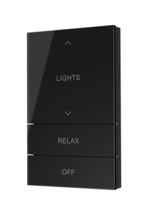 Crestron HZ2-BTNS-5-GLASS-B ENGRAVED — Horizon® 2 Düğme Düzeneği, Stil 5, Özel İşlemeli, Siyah Cam