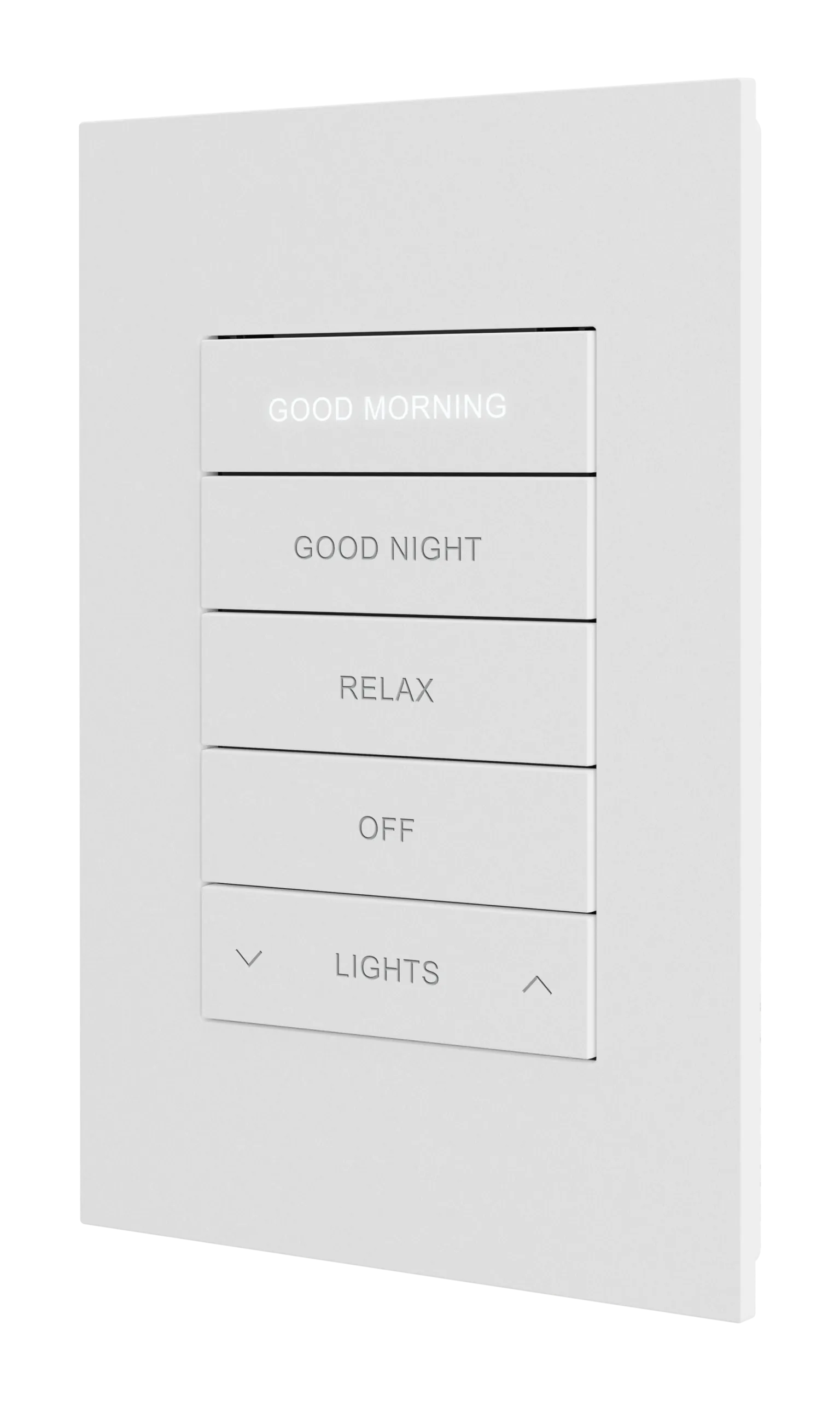 Crestron HZ2-DIMEX-W-ENGRAVED - HZ2‑DIMEX balastların ve sürücülerin infiNET EX® kablosuz ağ