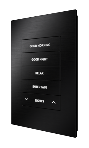 Crestron HZ2-KPCN-BR-BLK ENGRAVED — Cresnet® İletişimli Horizon® 2 Tuş Takımı, Özel İşlemeli, Fırçalanmış Siyah
