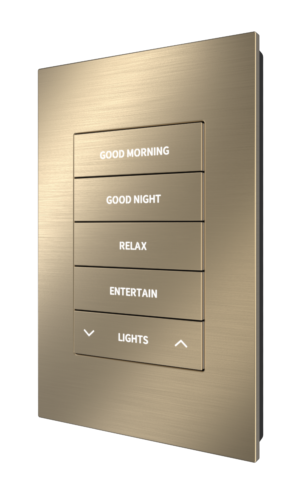 Crestron HZ2-KPCN-BR-BRASS ENGRAVED — Cresnet® İletişimli Horizon® 2 Tuş Takımı, Özel Kazınmış, Fırçalanmış Pirinç