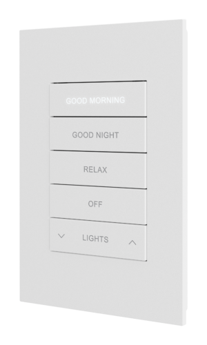 Crestron HZ2-KPCN-W ENGRAVED — Cresnet® İletişimli Horizon® 2 Tuş Takımı, Özel İşlemeli, Beyaz